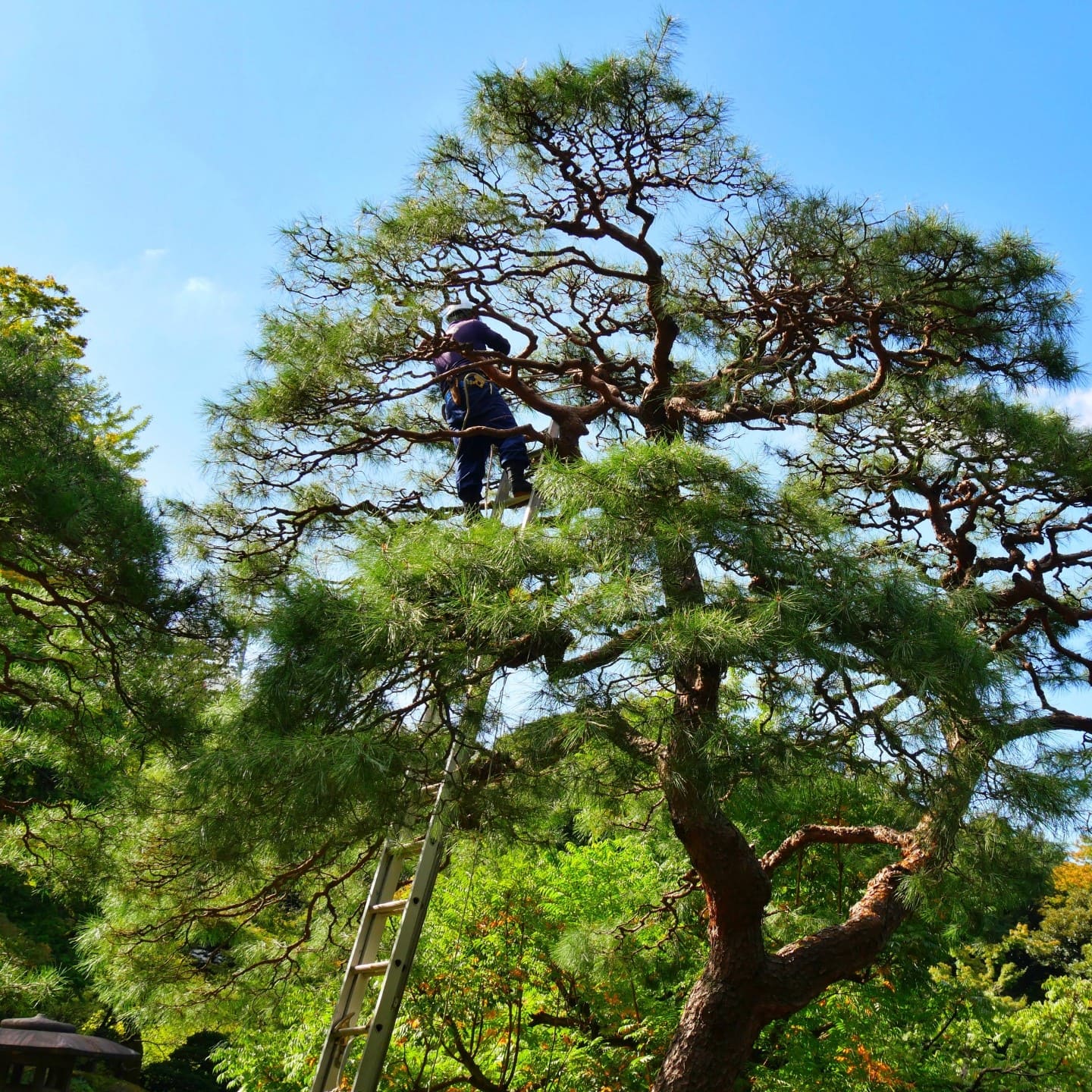 貴島緑地建設について画像